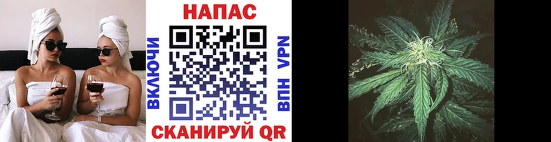 Конопля Bruce Banner  Городовиковск 